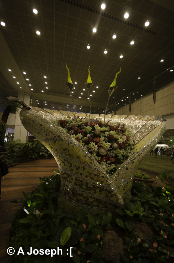 Flower in Changi Airport